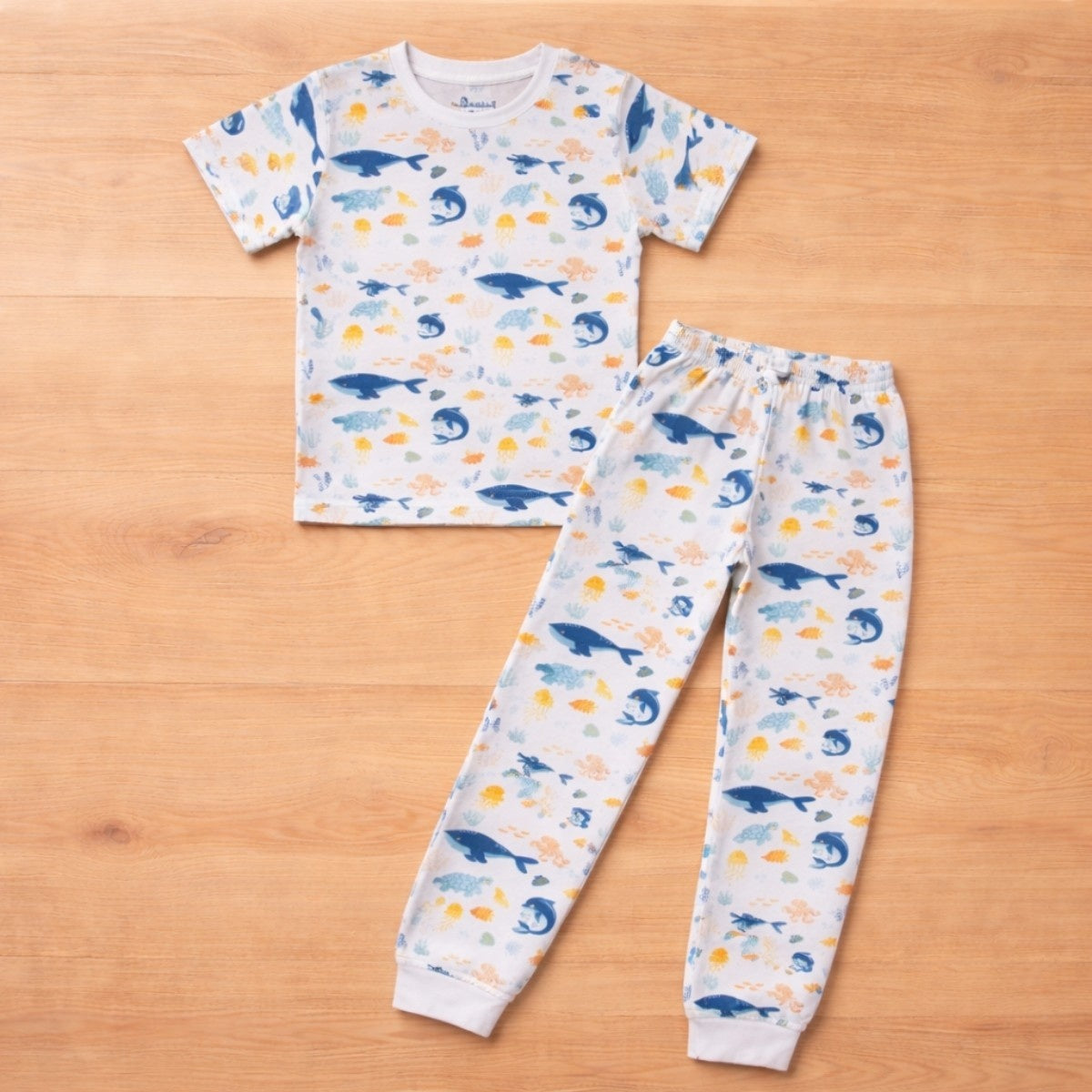 Ocean Adventure Co-ord Set